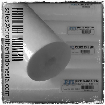 PP110 Cartridge Filter Indonesia 20250319013811_large2.jpg